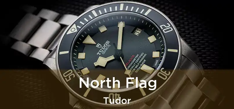  North Flag Tudor